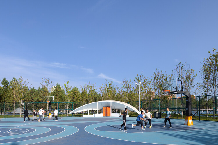 帽红